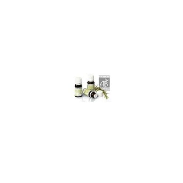 Niaulí BIO Aceite Esencial, 10 ml - Pranarom