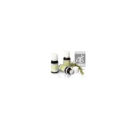Niaulí BIO Aceite Esencial, 10 ml - Pranarom