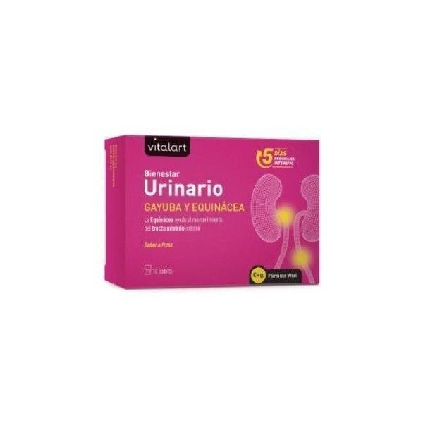 Vitalart Bienestar Urinario, 10 sobres
