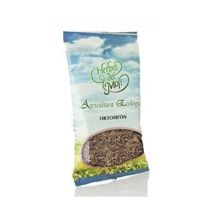 Ortosifón, 35 G - Herbes del Moli