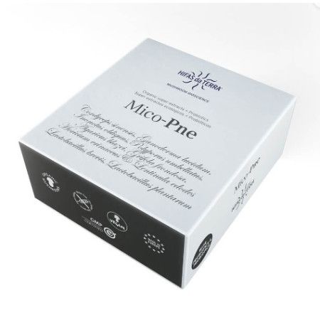 Mico Pne de Hifas da Terra