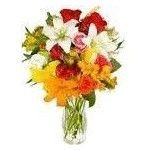 Productos Flores de Bach comprar