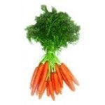Vitamina a y Betacarotenos en cápsulas comprar