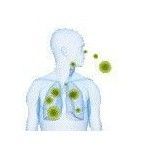 Productos para tratar alergias