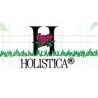 Holistica