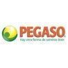 Pegaso