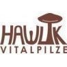 Hawlik
